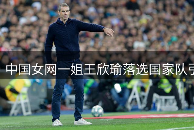 中国女网一姐王欣瑜落选国家队引争议 网协选人标准遭质疑