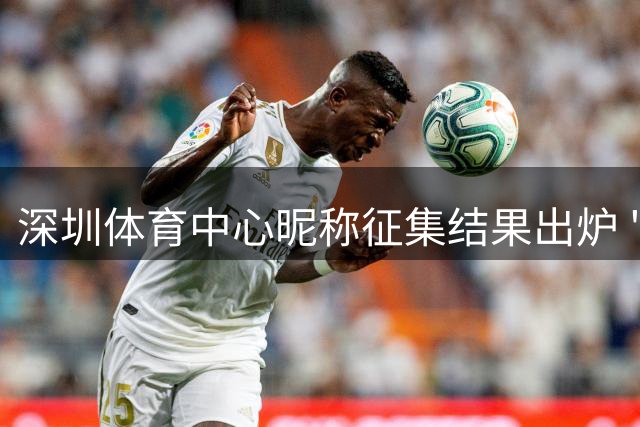 深圳体育中心昵称征集结果出炉 "新深体"获奖引争议